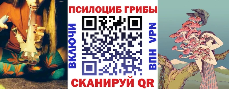 Псилоцибиновые грибы прущие грибы Череповец